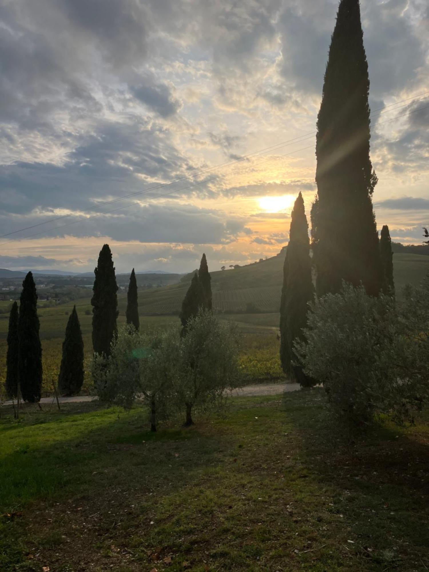 Agriturismo Casale Dello Sparviero Castellina in Chianti Bagian luar foto